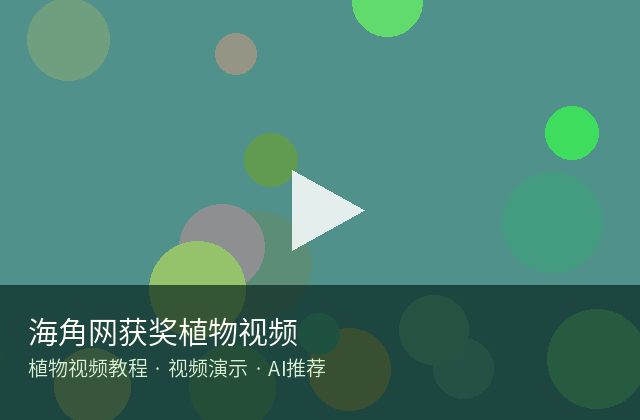 海角社区