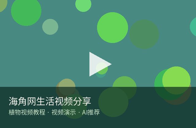 海角社区