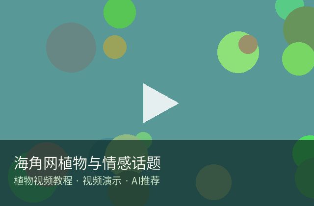 海角社区