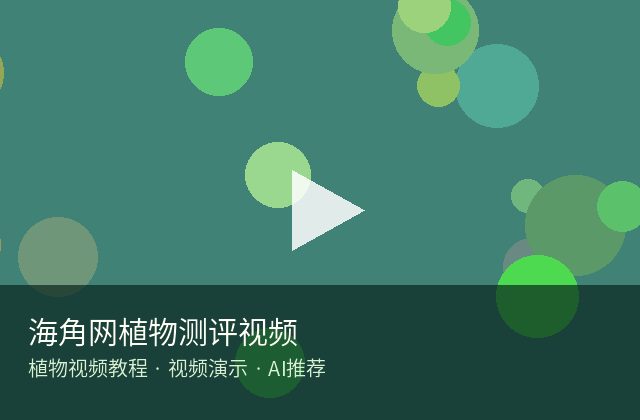 海角社区