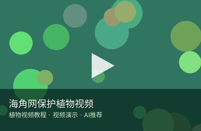 海角社区