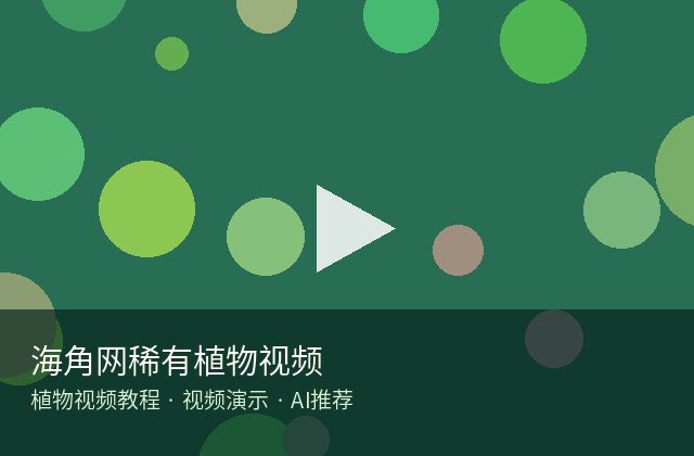 海角社区